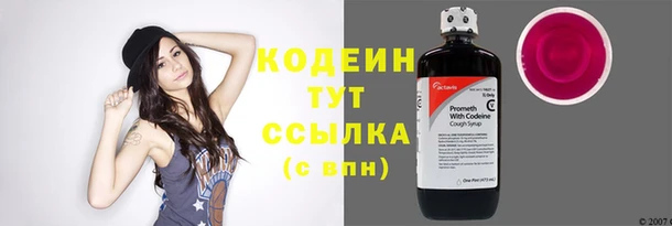 стафф Няндома