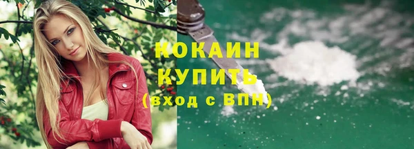 стафф Няндома